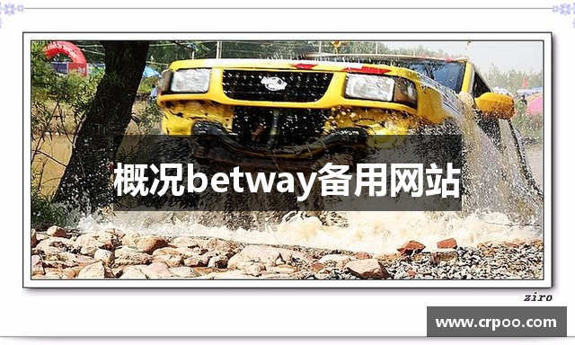 概况betway备用网站
